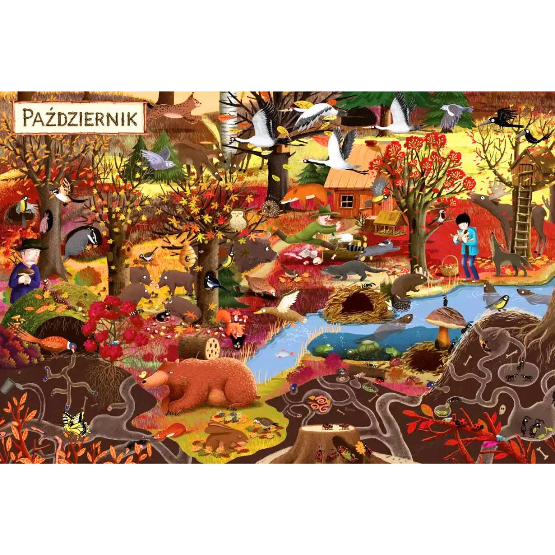 Rok w lesie – szczegółowe ilustracje przedstawiające zwierzęta leśne.