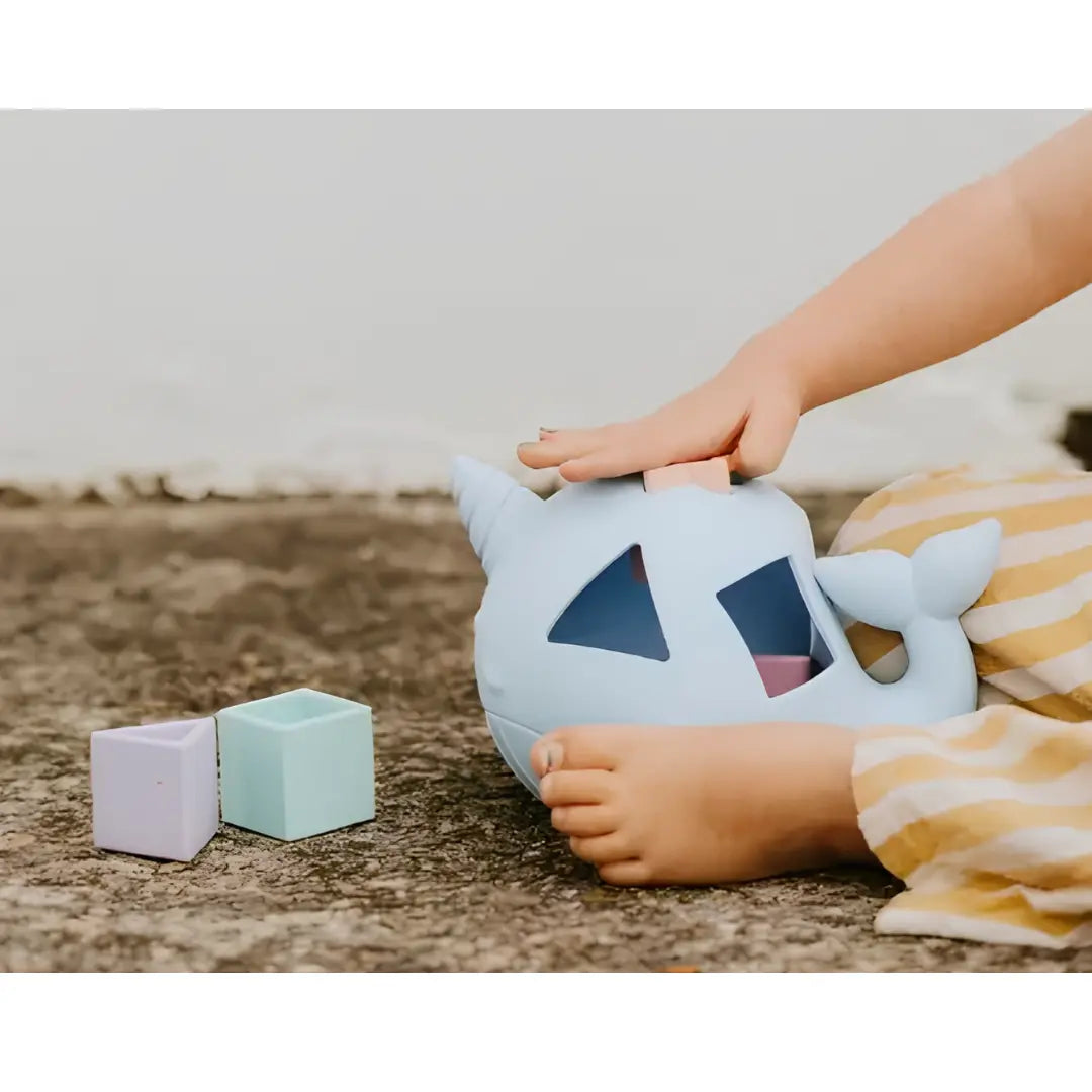 Sorter kształtów Narwal Jellystone Designs 6+ – zabawa